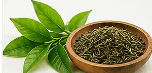 green_tea_extract